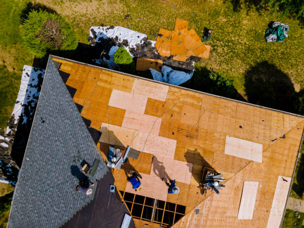 Best Shingle Roofing Installation  in Bayou Cane, LA